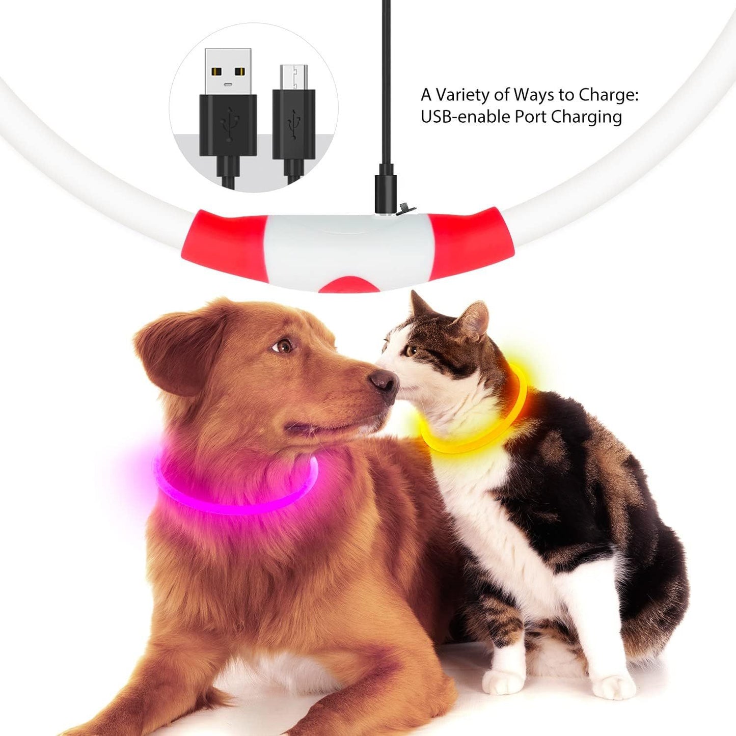 LED Pet Collar