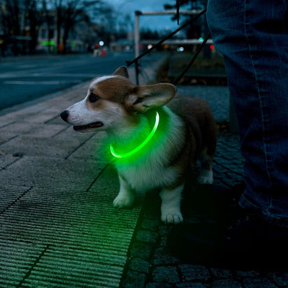LED Pet Collar