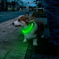 LED Pet Collar