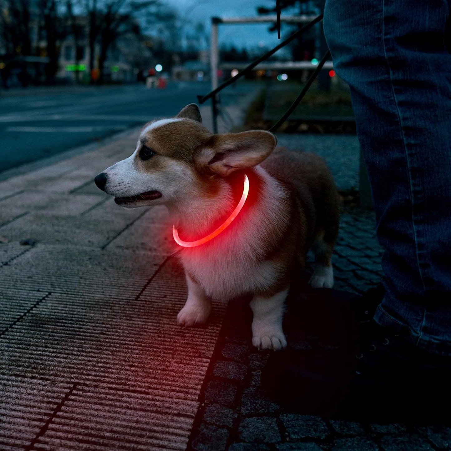 LED Pet Collar