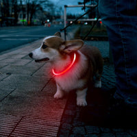 LED Pet Collar