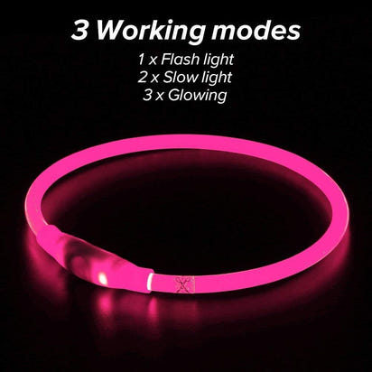 LED Pet Collar