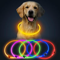 LED Pet Collar