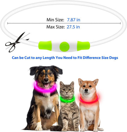 LED Pet Collar