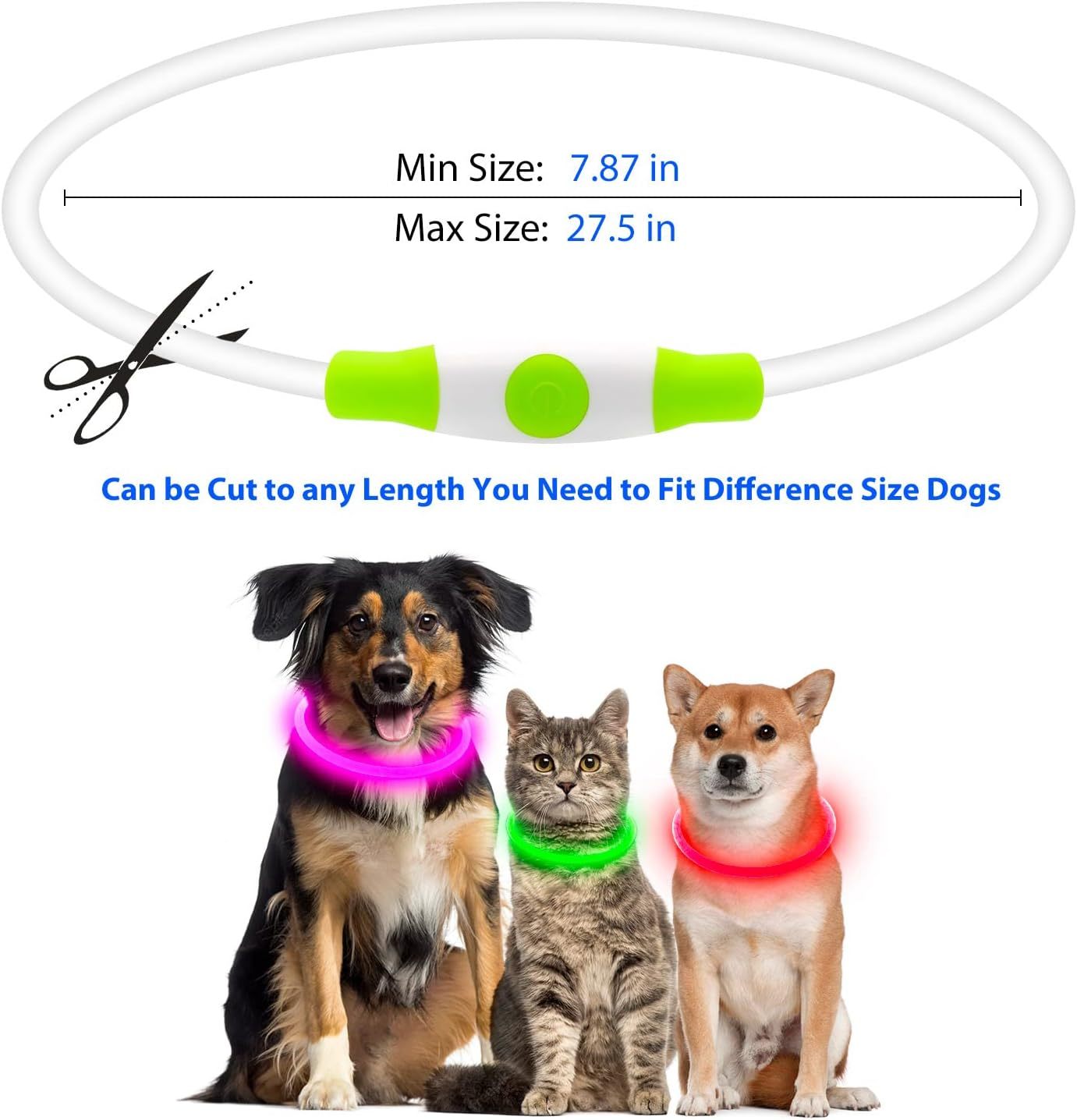 LED Pet Collar